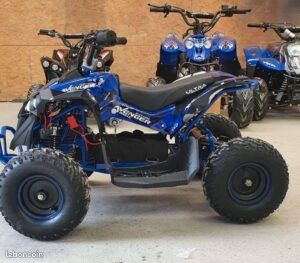 Quad Renegade 1000w - 6